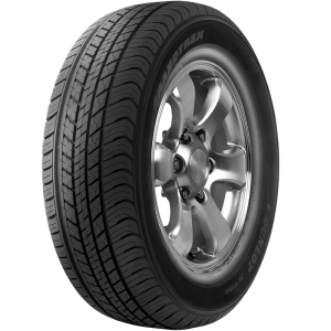 Dunlop Grandtrek ST30
